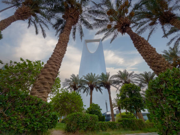 Contact Banner Image